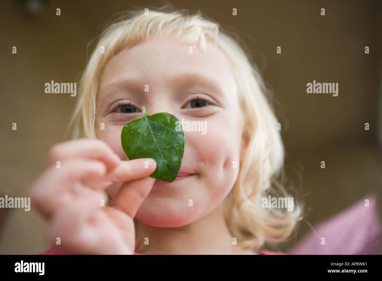 six year old girl holding leaf in front of her face Stock Photo - Alamy