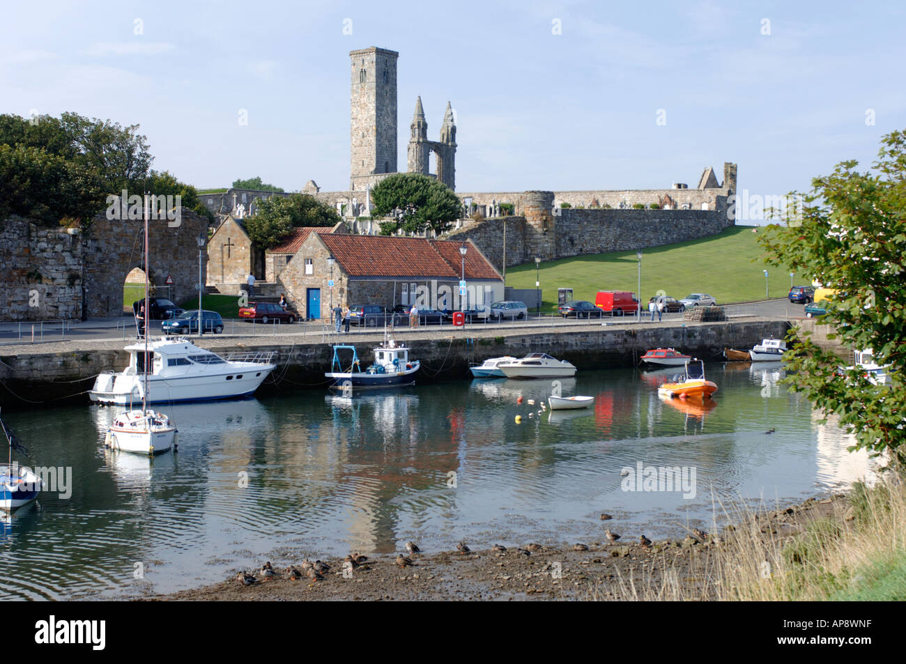 The quiet harbour at the University town of St Andrews Fife.  XPL 3379-332 Stock Photo