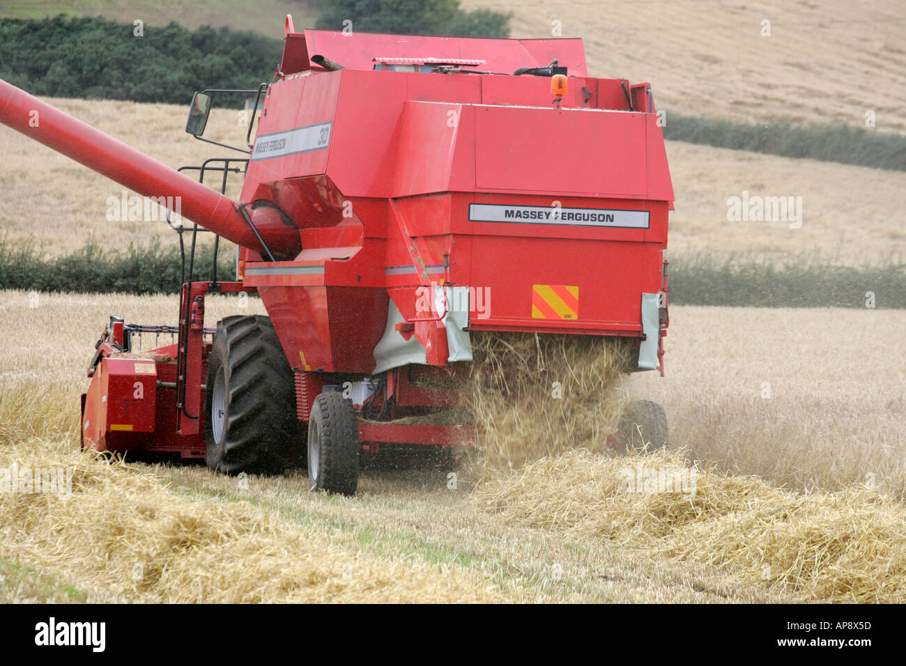 Rear Of Massey Ferguson Red Combine Harvester In Wheat Field Leaving Straw Lines Newtownards 1976