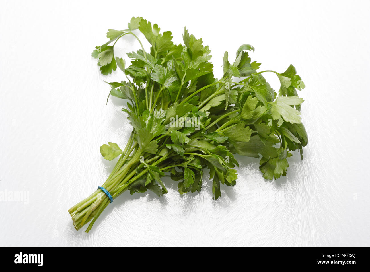 Flat Leaf Parsley Stock Photo Alamy