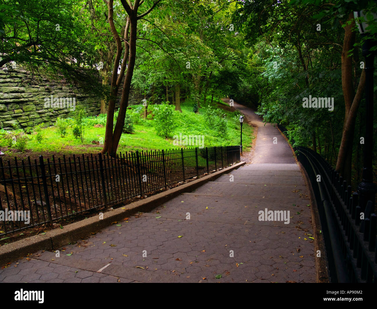 Gradual Incline Walkways Gradual, sloping stairway and path into lush, green foliage in ...