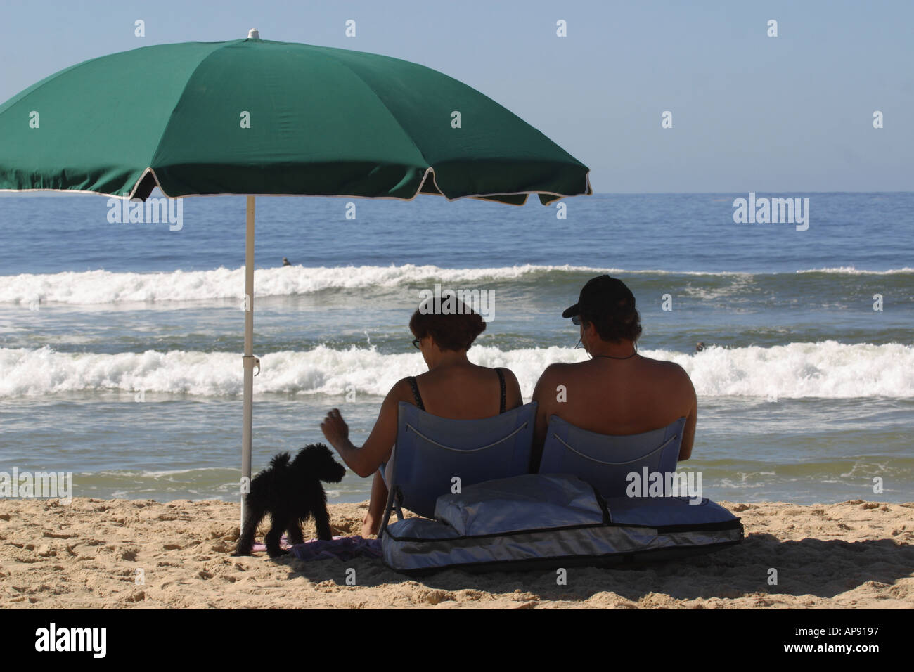 Man and woman sitting under umbrella with poodle on the beach Stock Photo