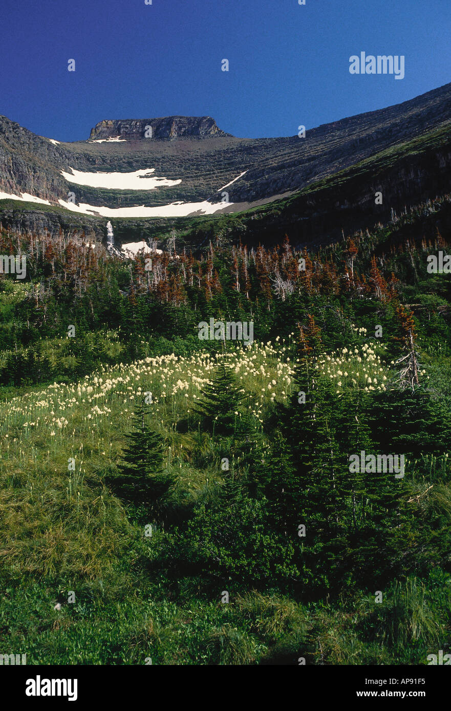 Hillside of wildflowers hi-res stock photography and images - Alamy