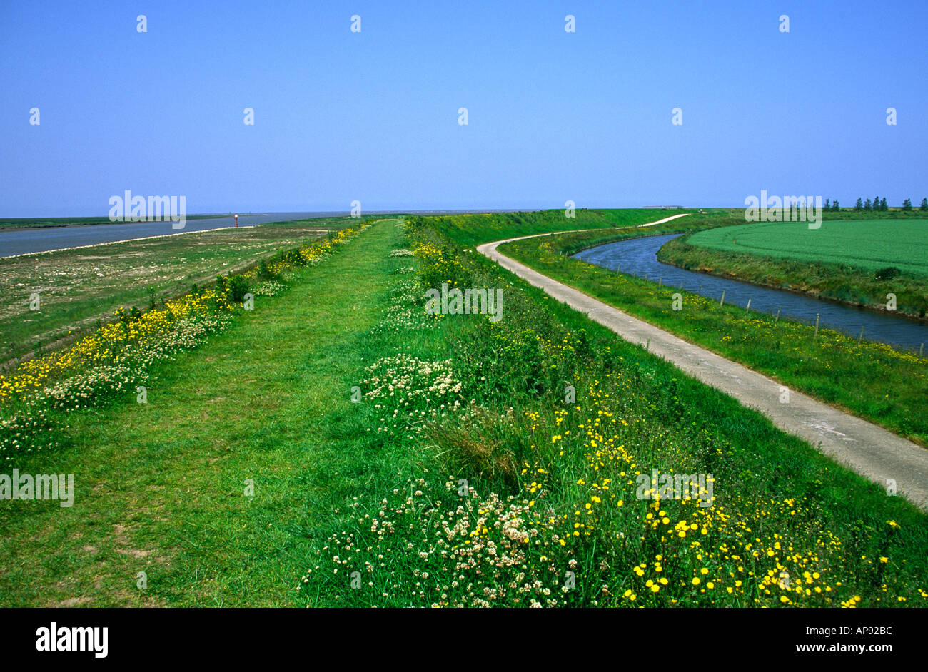 Klusjesman Corroderen Depressie Lincolnshire the wash hi-res stock photography and images - Alamy