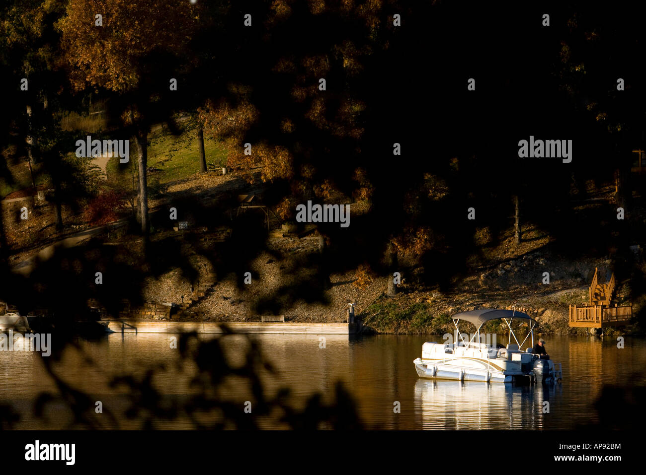 Fisherman on Lake Avalon in Bella Vista, Ark Stock Photo Alamy