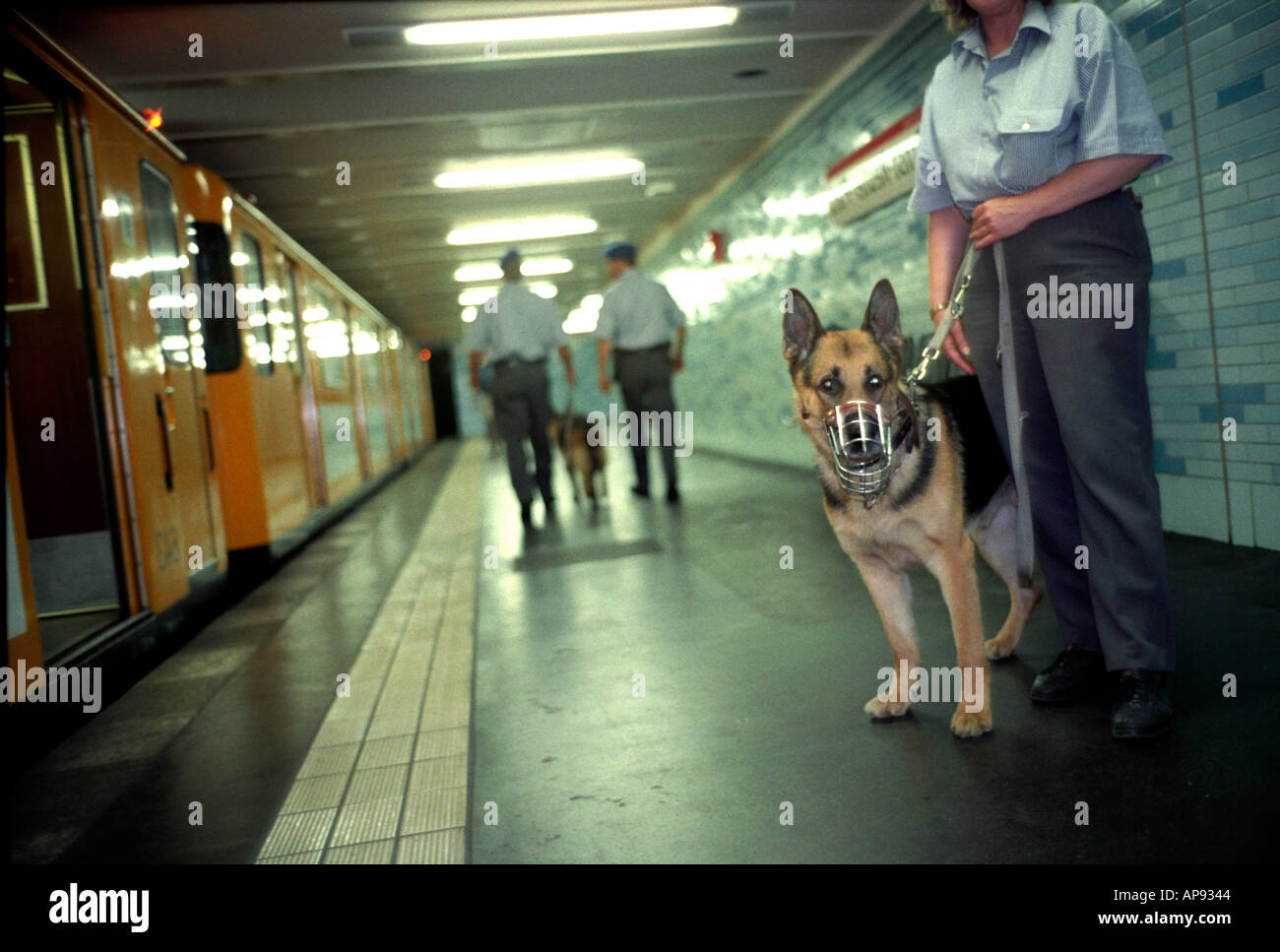 Are Dogs Allowed On Trains In Germany