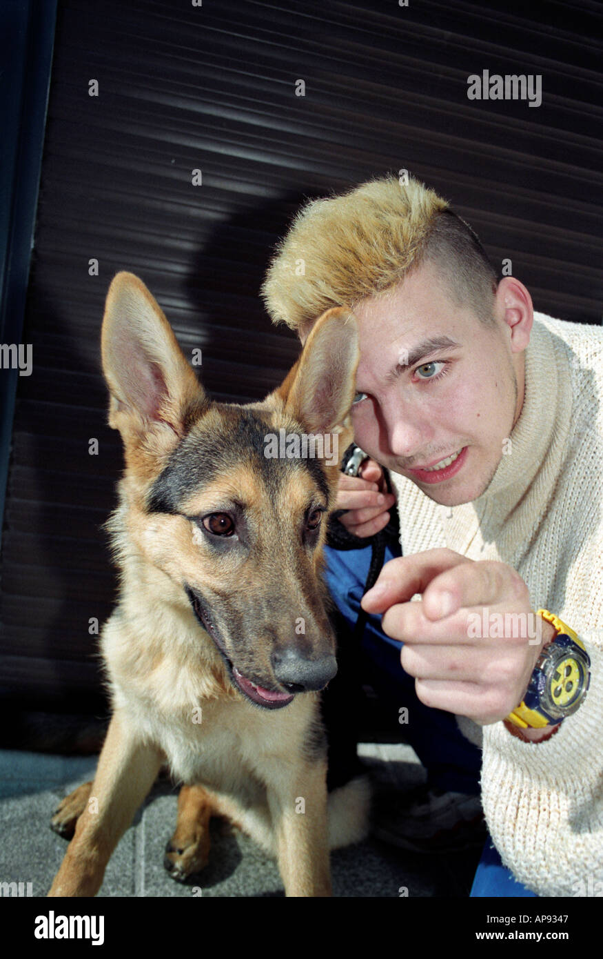 german shepherd shopping