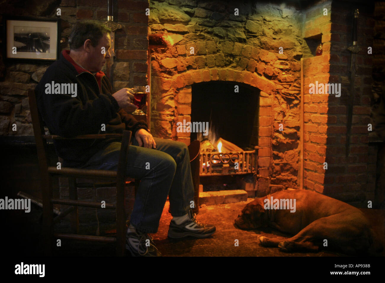 Man and Dog in an Irish Pub Stock Photo