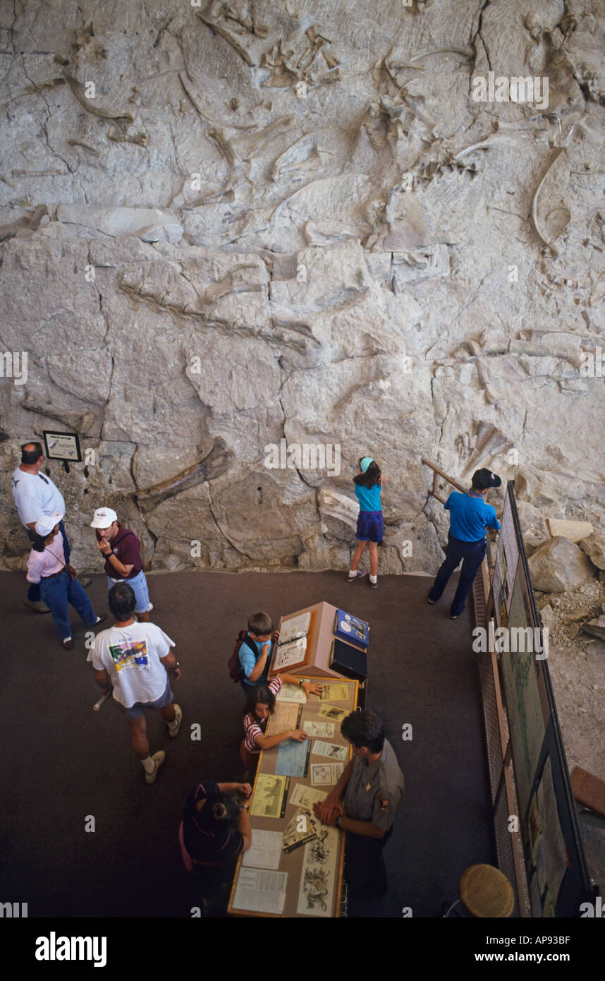 Colorado Dinosaur National Monument Dinosaur Quarry Visitor Center