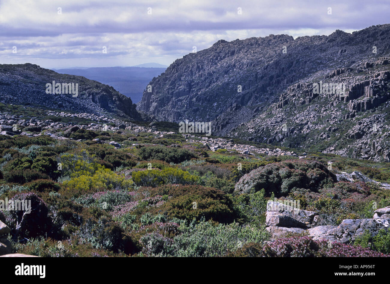 Mountainous countryside in the Ben Lomond National Park Tasmania Stock ...