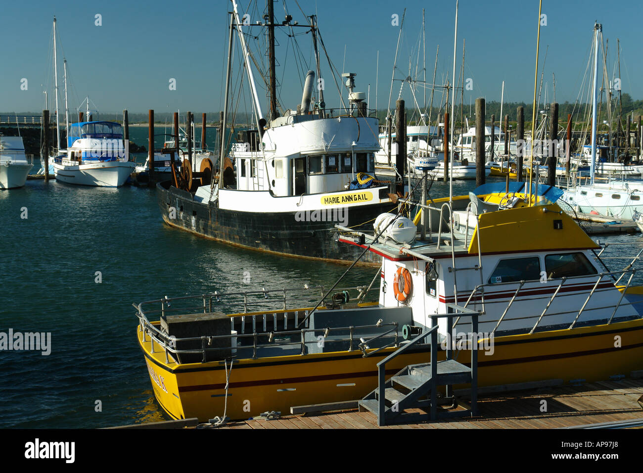 pleasure boats on the river bandon Thay shaved me befor my gyno exam