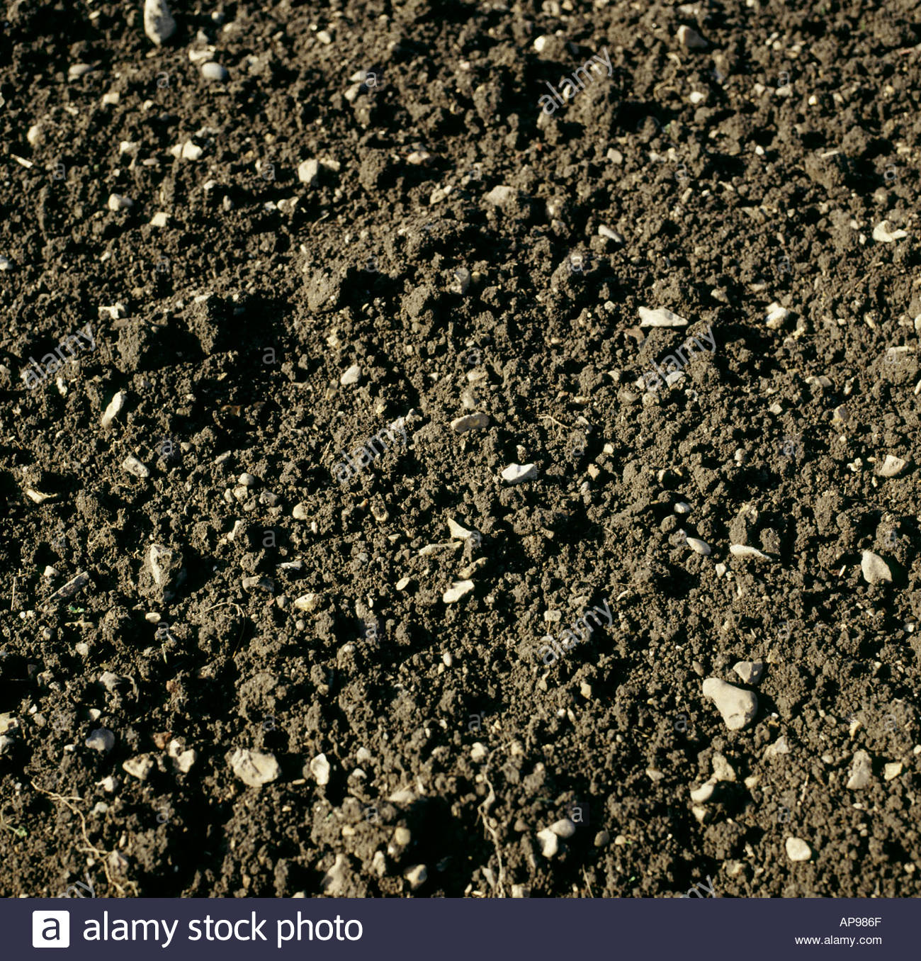 Freshly dug clay loam soil showing flint on surface Stock Photo