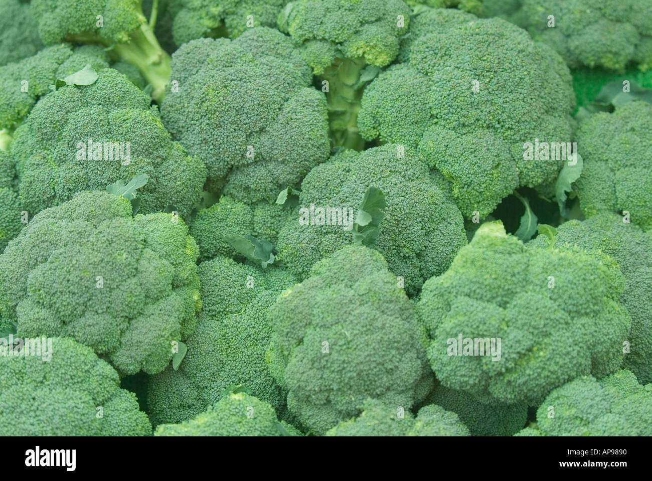 food eat broccoli on sale on market stall market stall fruit vegtable veg street market fresh vitamins Stock Photo