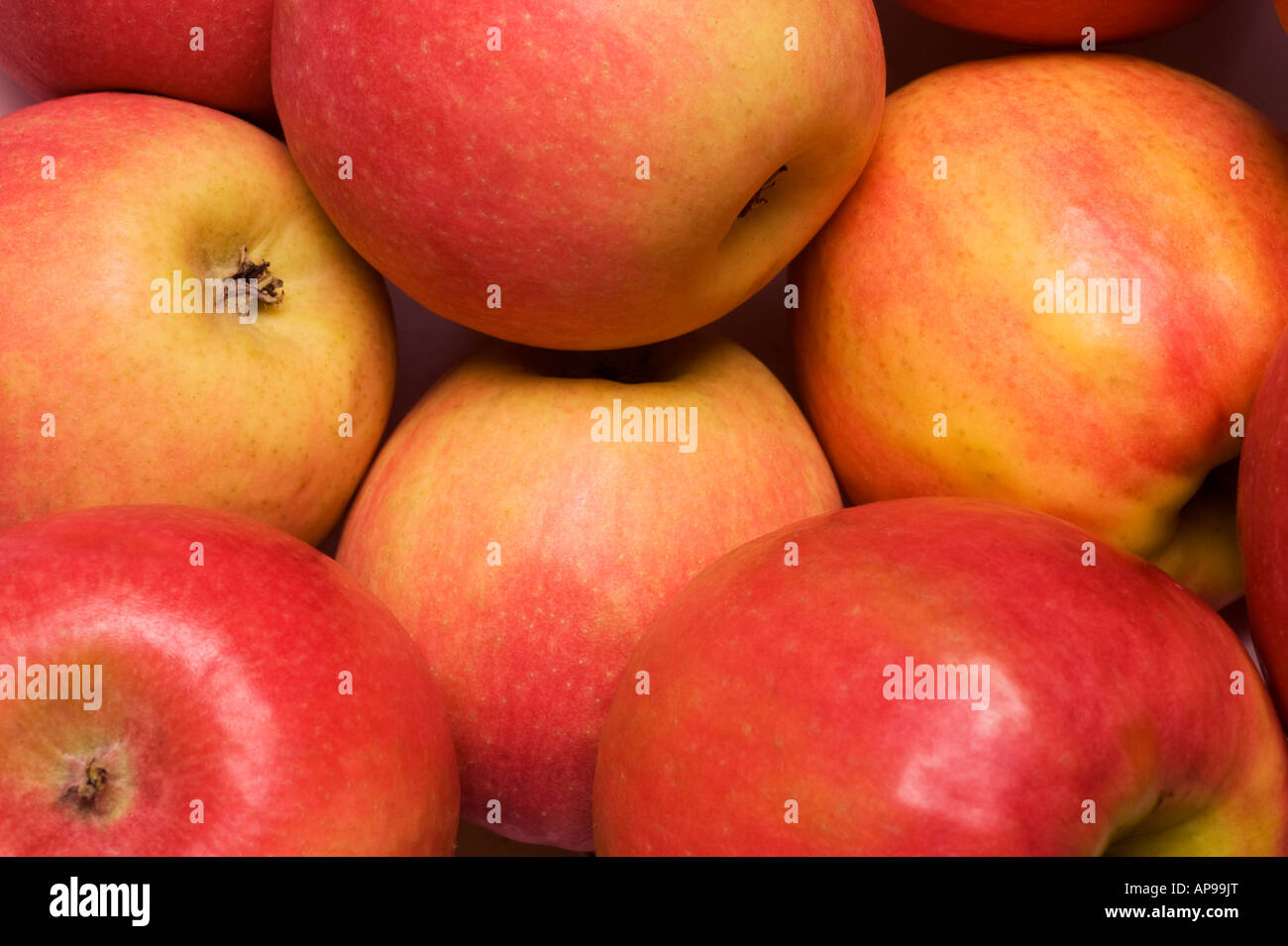 cripps pink apples Stock Photo Alamy