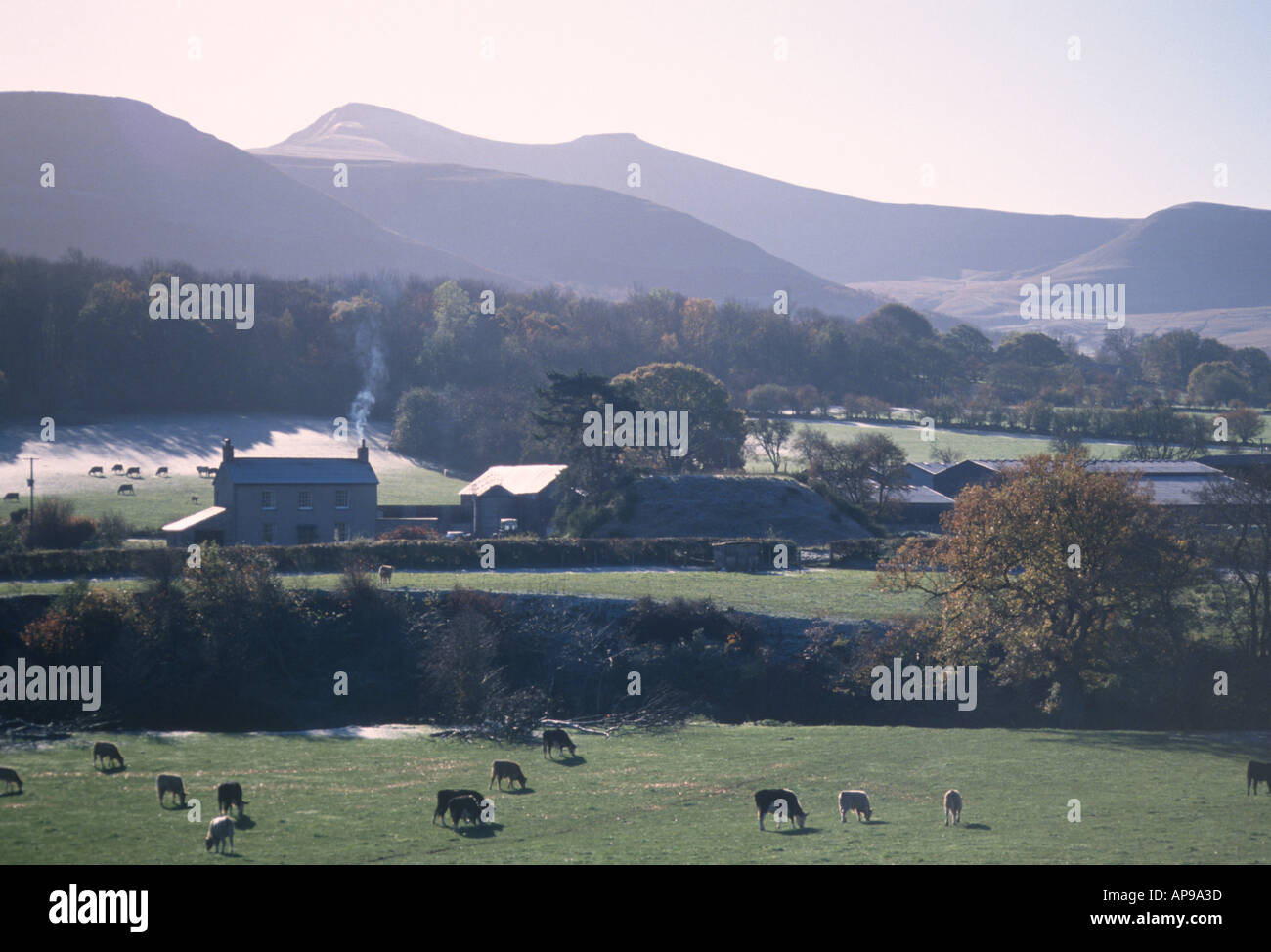 Farmhouse Brecon Beacons Powys Wales UK DW1  Stock Photo