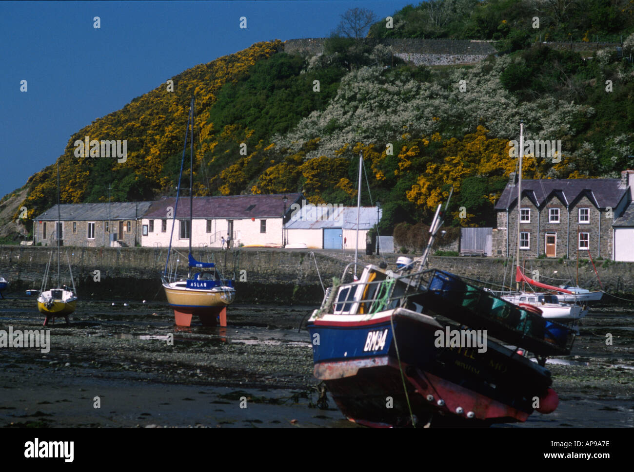 Old fishguard harbour hires stock photography and images Alamy