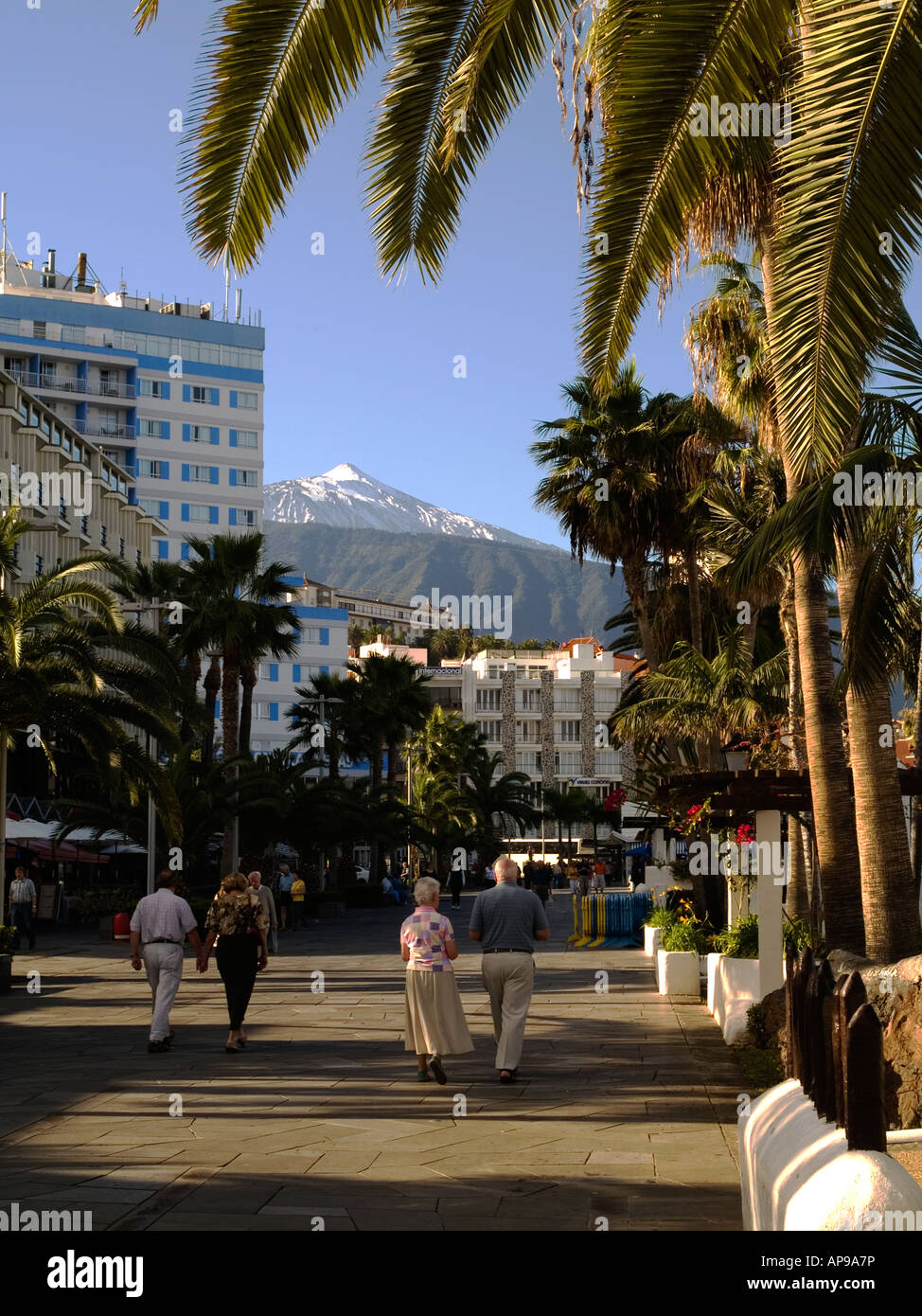 Avenida de Colon Puerto de la Cruz Tenerife Canary Islands Spain Stock  Photo - Alamy