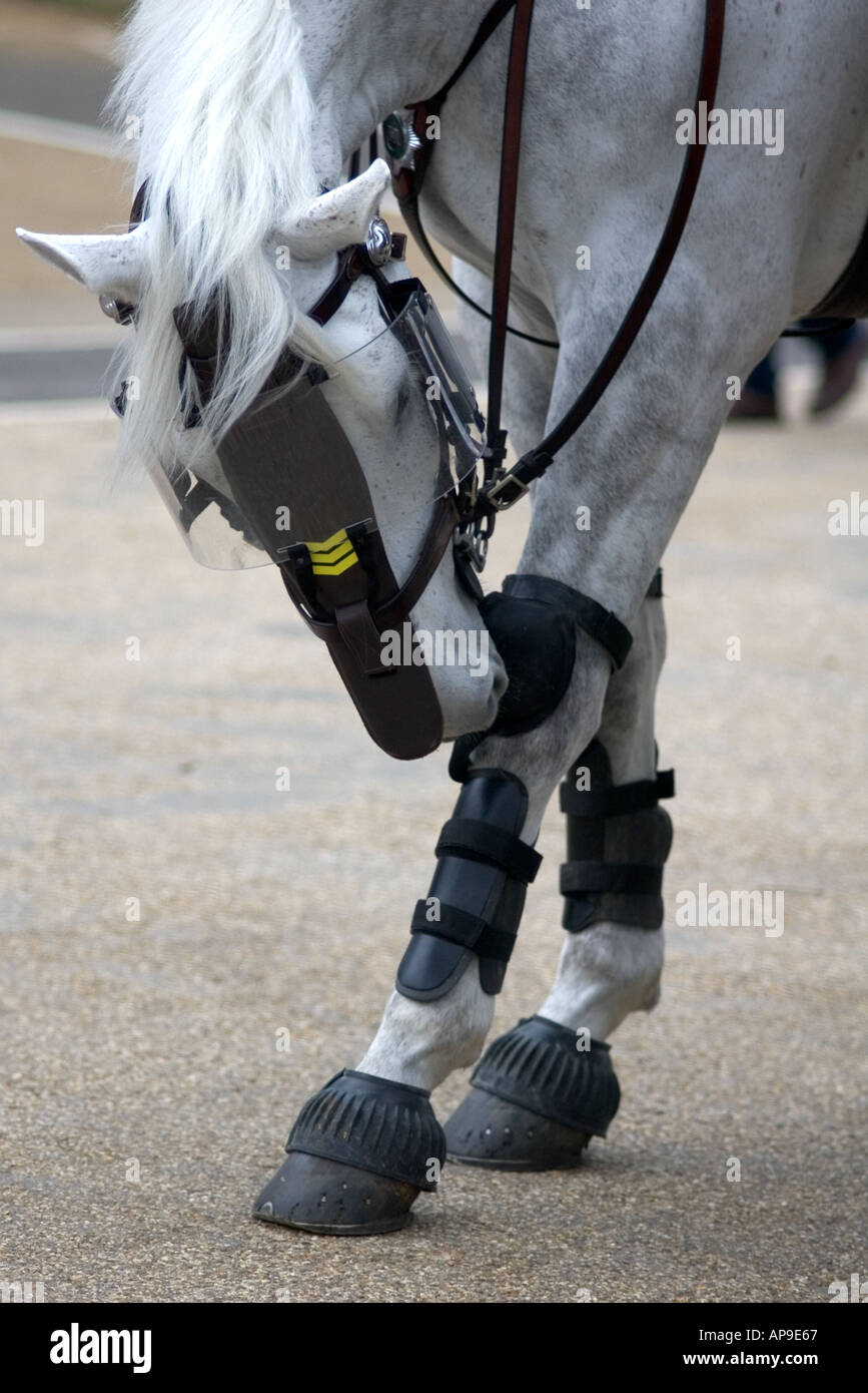 Police riot horse eye shield hi-res stock photography and images - Alamy