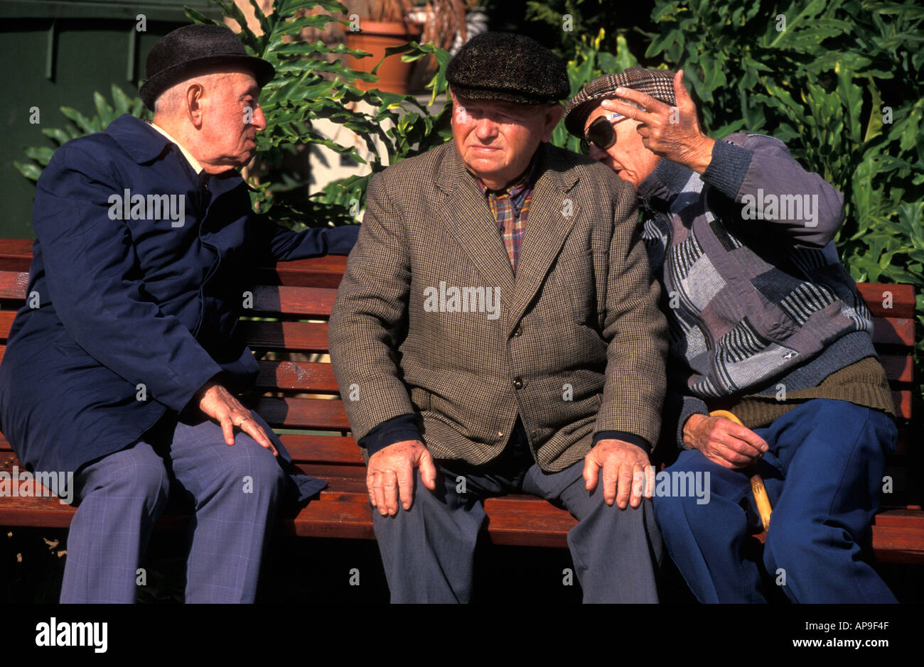 Three elderly Jewish men sitting chatting on a bench, Tel Aviv, Israel ...