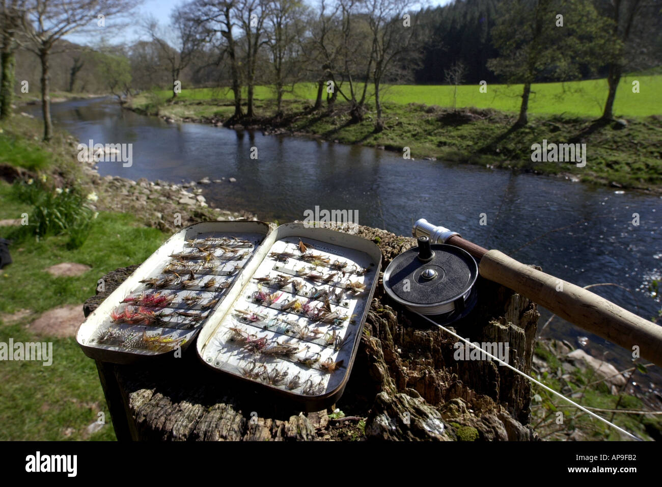 Fly fishing for wild brown trout on the River Usk at the Gliffaes Country House Hotel near
