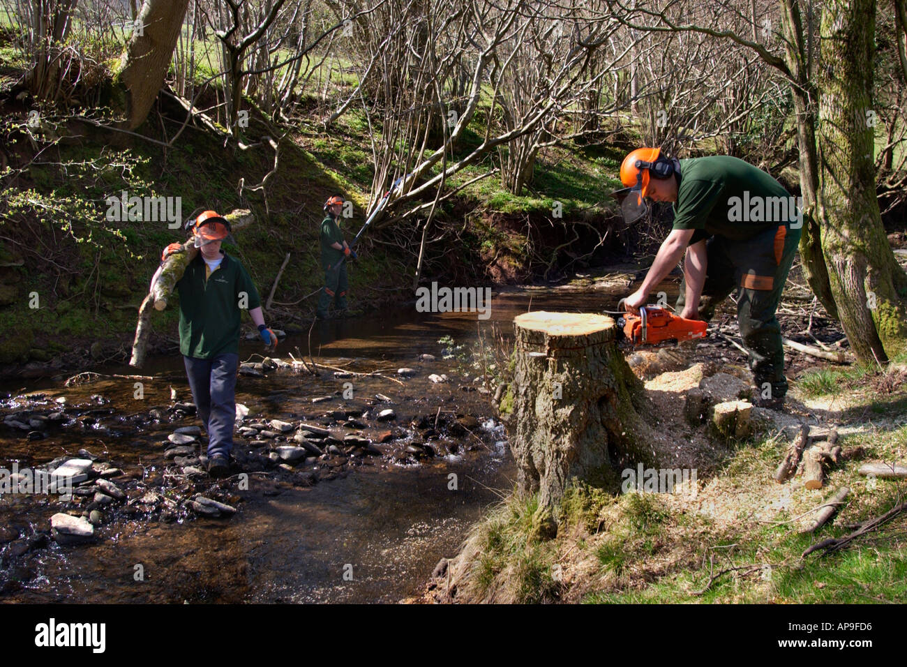 Conservation work improving river habitat on the Olchon Brook near Longtown Herefordshire England UK Stock Photo