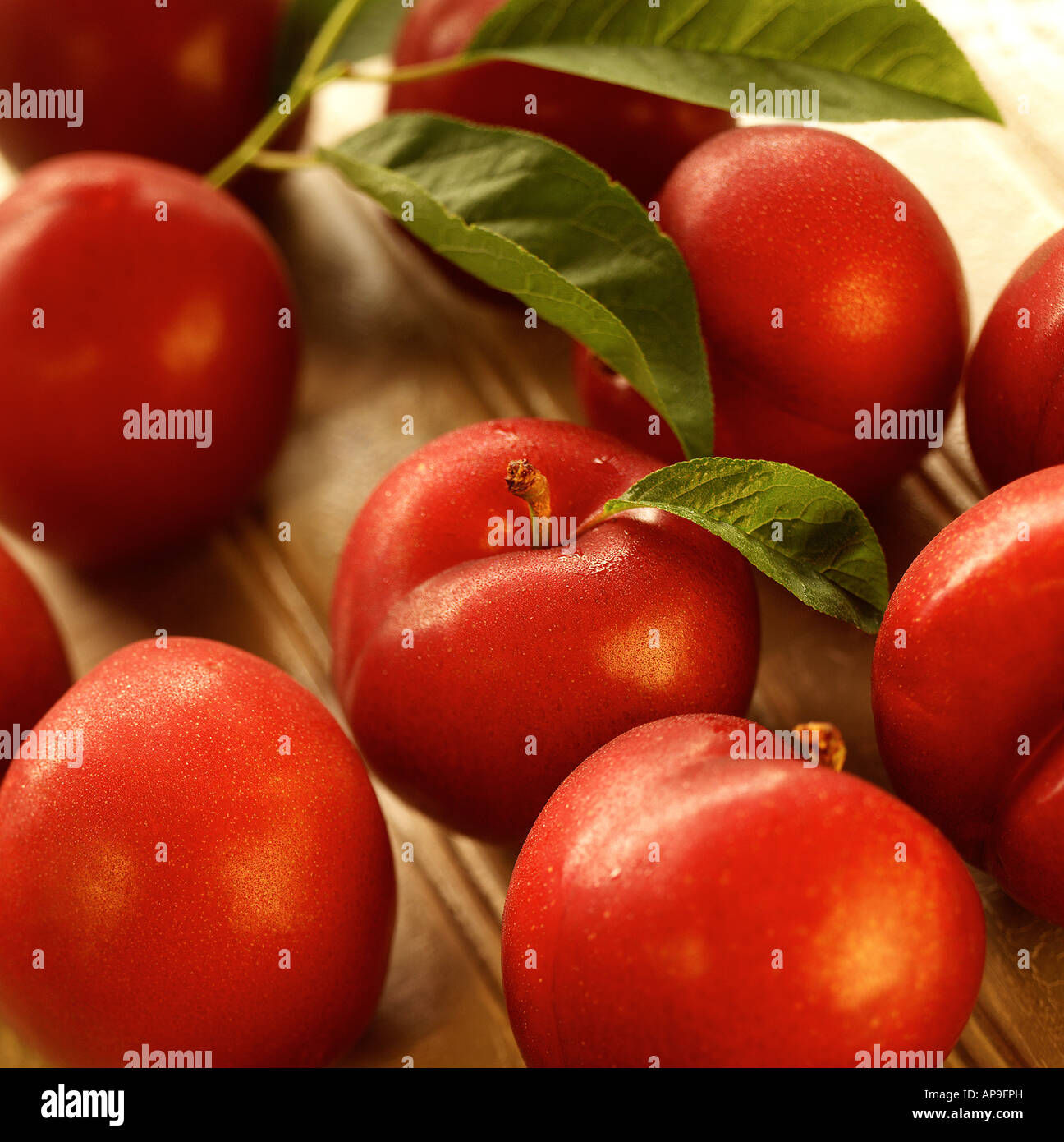 Fresh plums Stock Photo