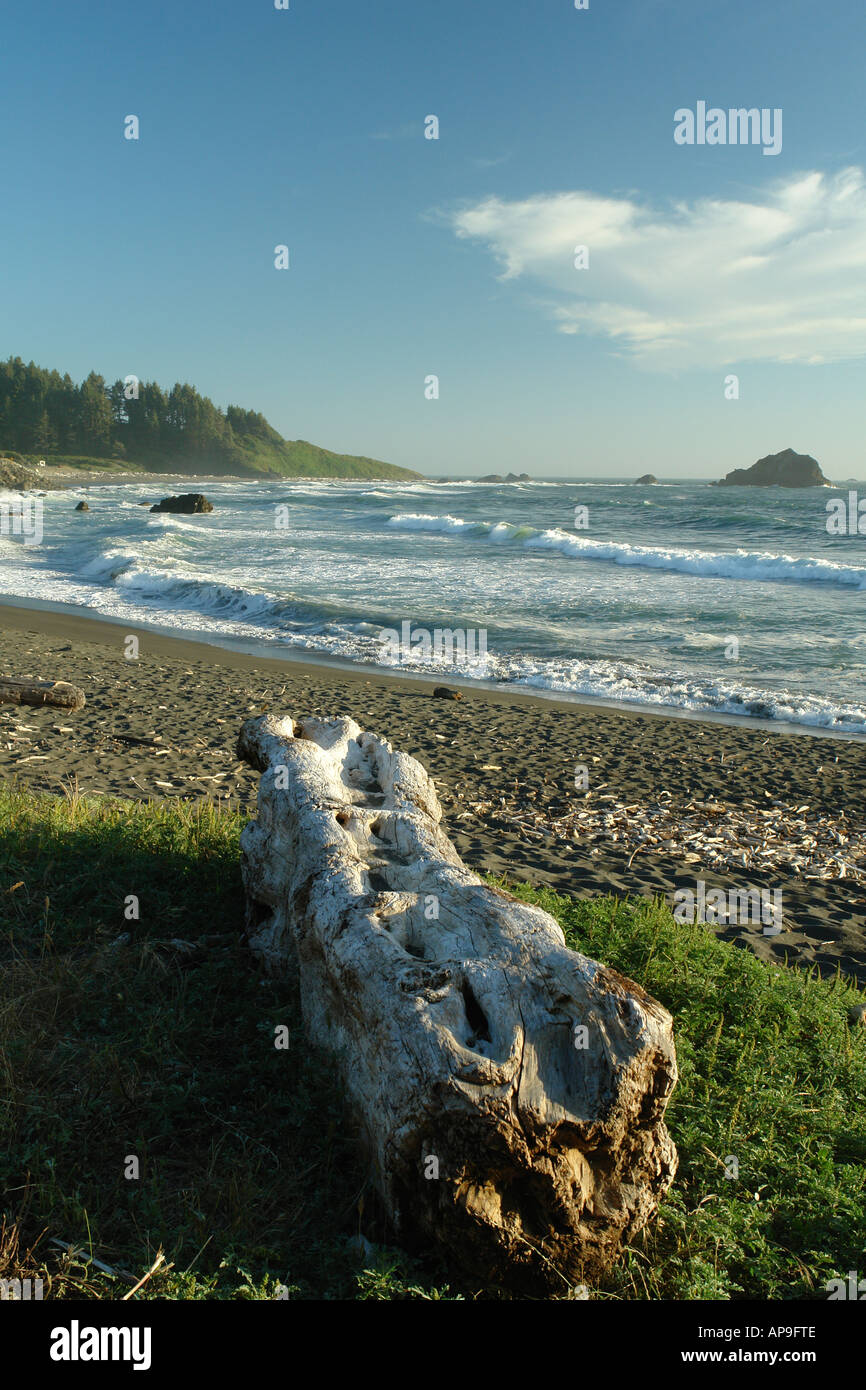 AJD51271, Redwood National and State Parks, CA, California, Pacific Ocean, Del Norte Coast Redwoods State Park Stock Photo