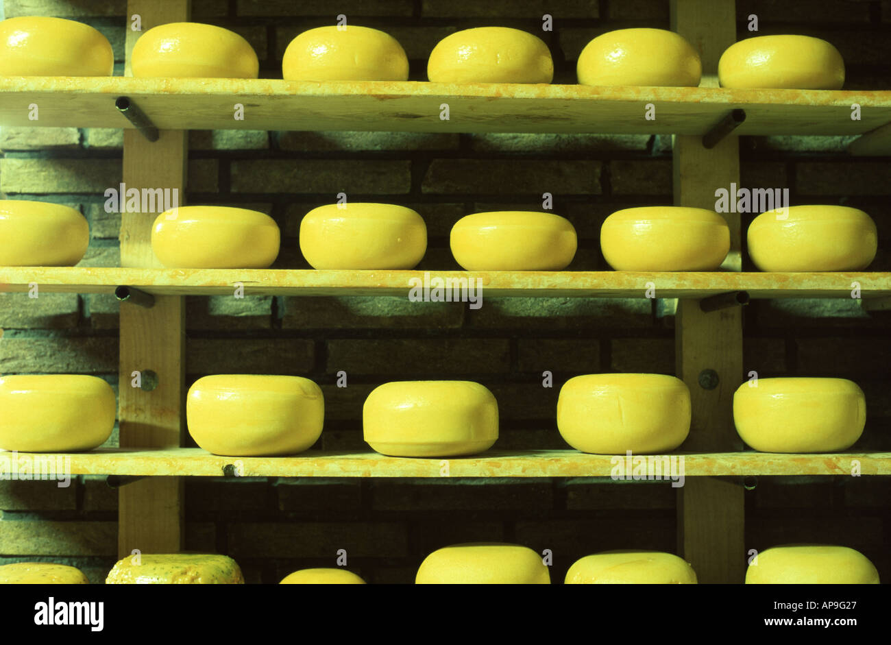 Cheese factory Volendam Holland Stock Photo Alamy