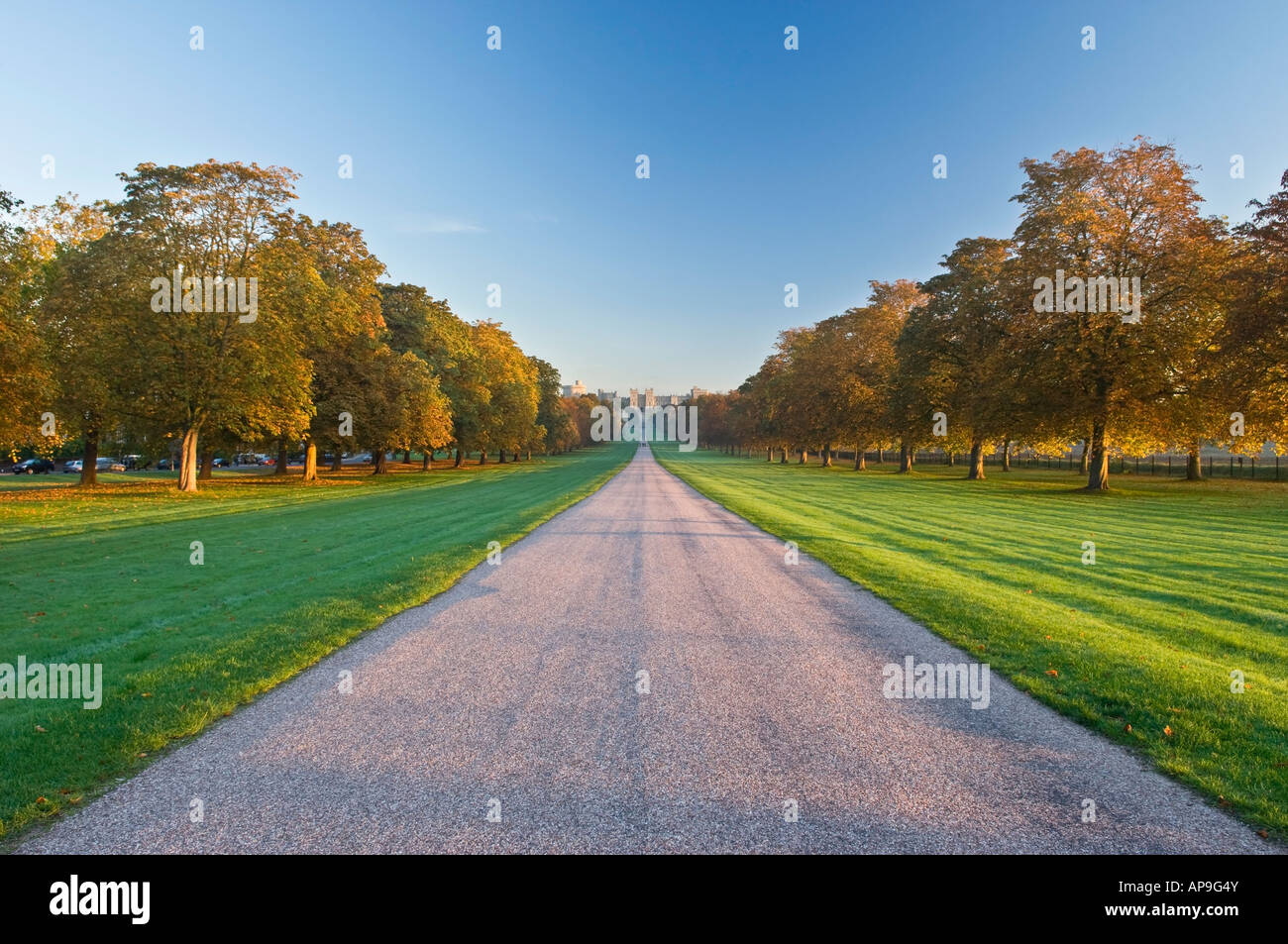 Windsor Castle in early autumn morning from Long Walk Windsor Berkshire England UK Stock Photo