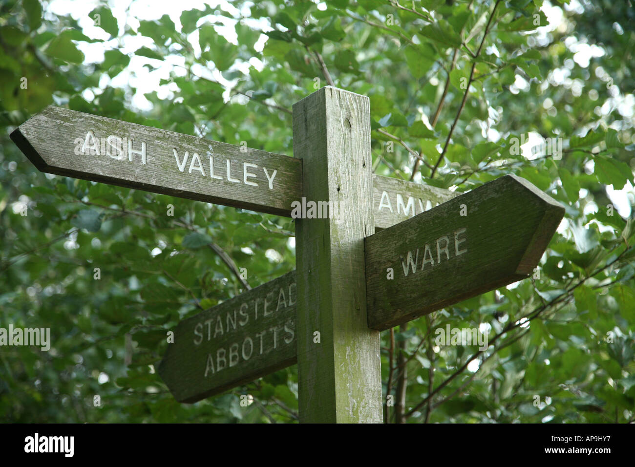 Footpqath hi-res stock photography and images - Alamy