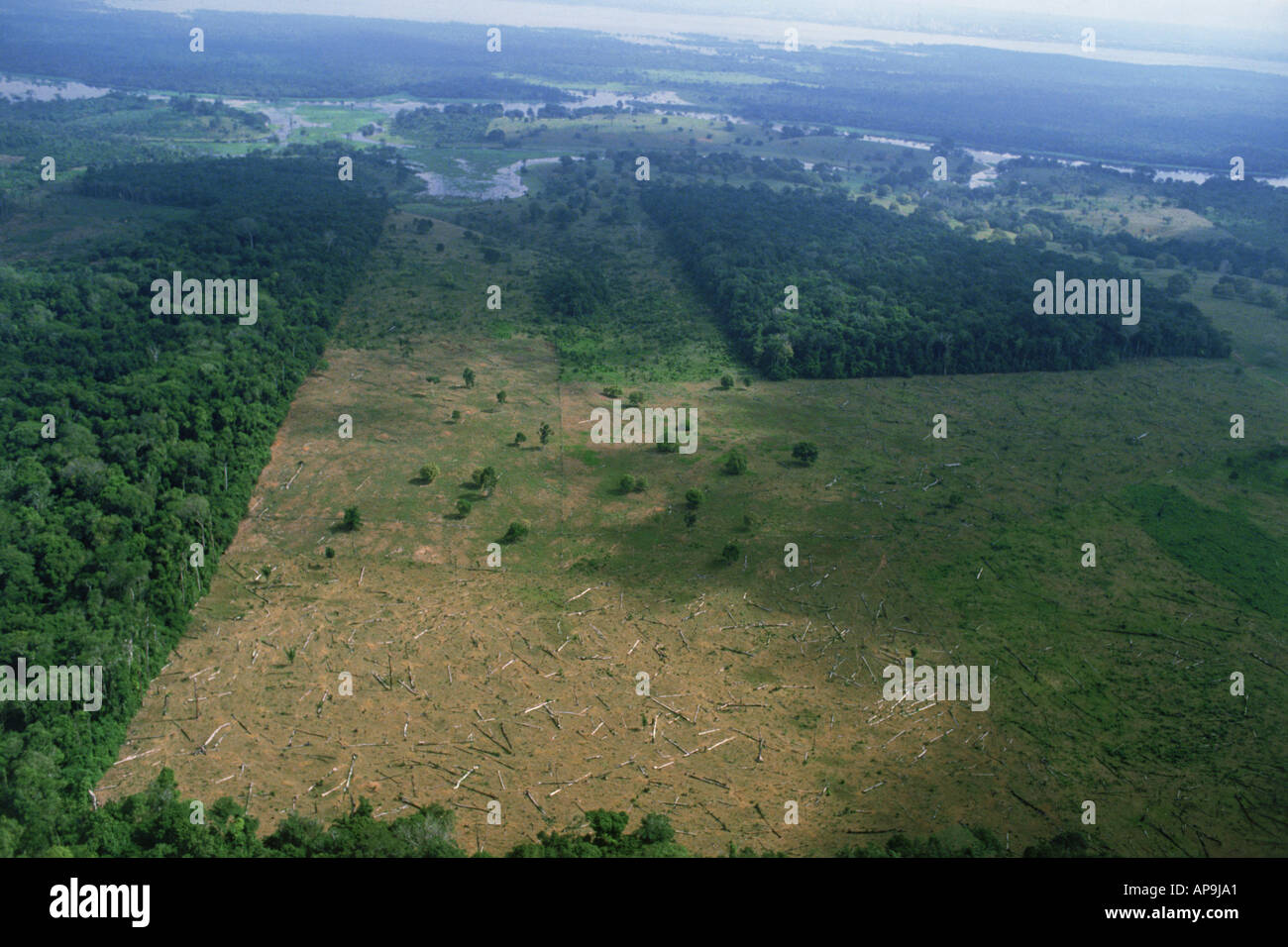 Aerial view of deforestation of rain forests in Brazil near Amazon River Stock Photo
