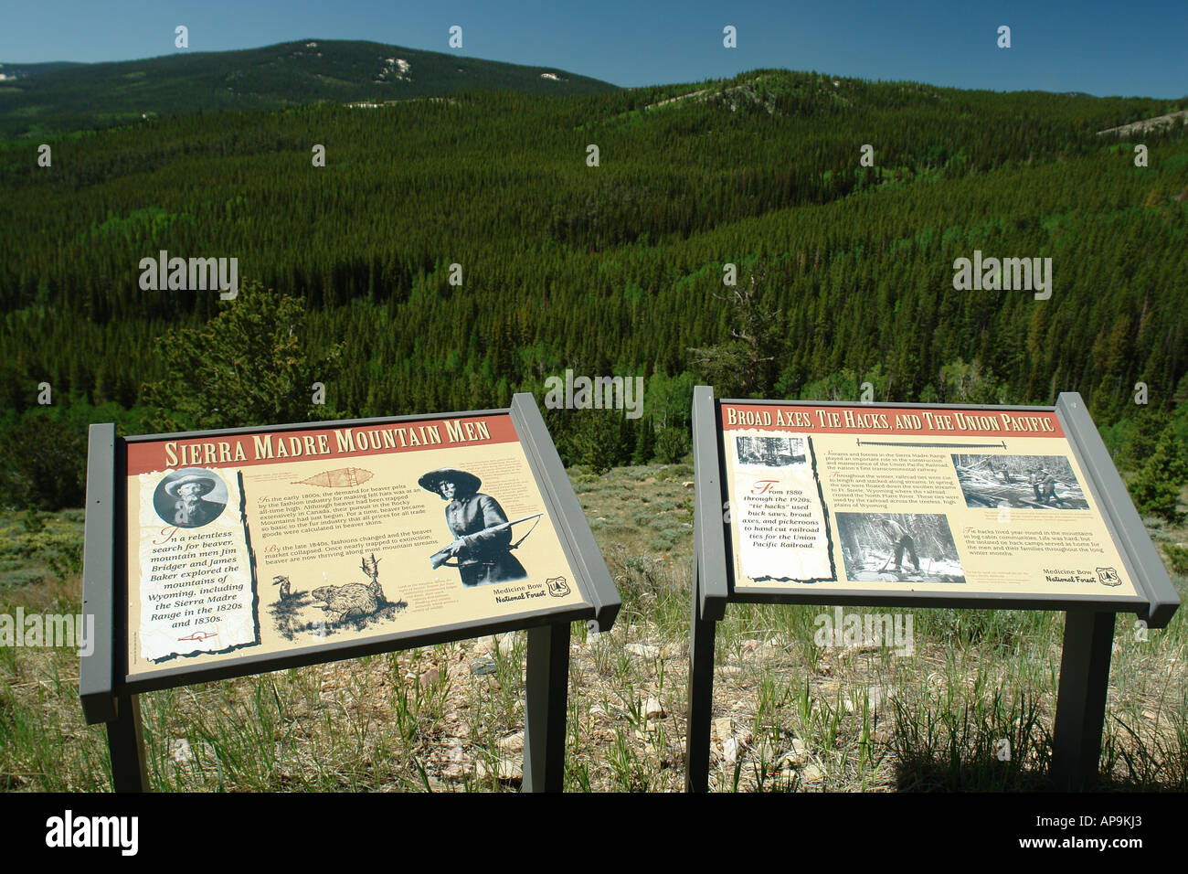 AJD50400, Medicine Bow National Forest, WY, Wyoming, Continental Divide