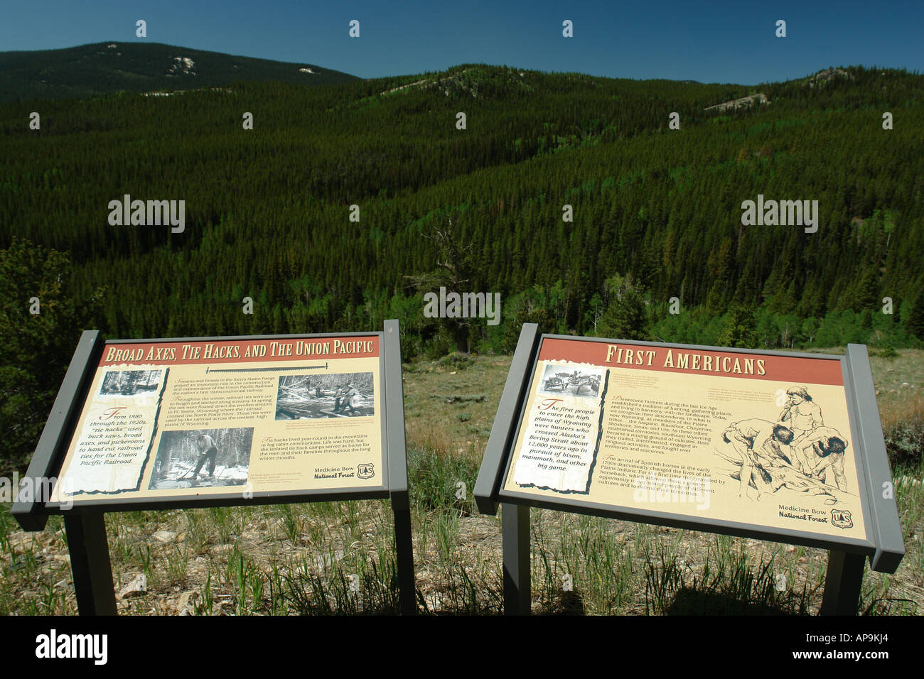 AJD50401, Medicine Bow National Forest, WY, Wyoming, Continental Divide
