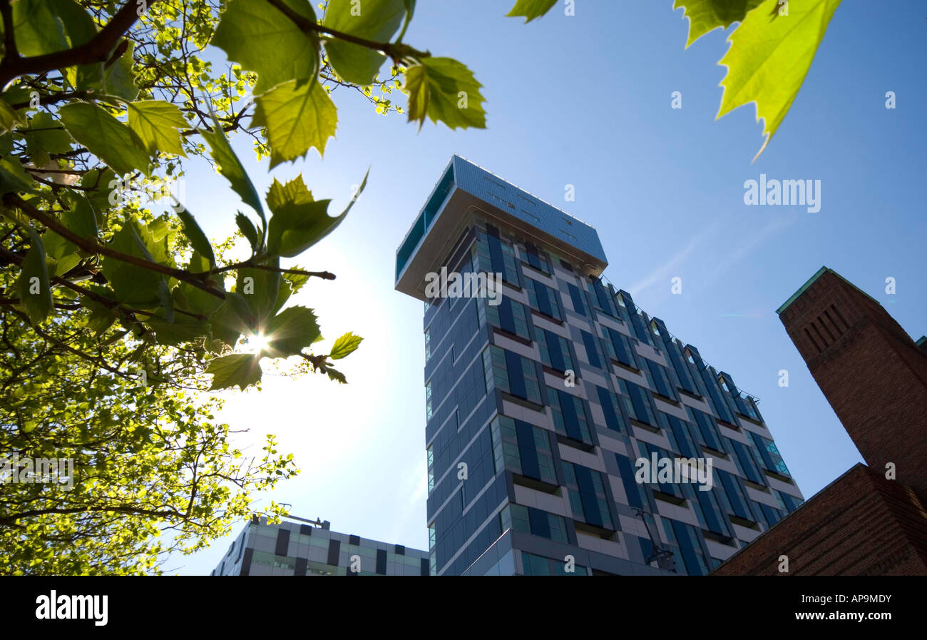 View through the trees of award winning unity building liverpool uk
