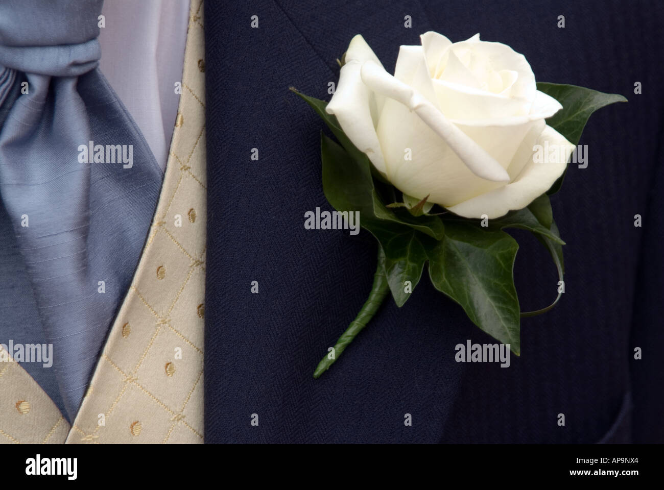 The groom's outfit at a wedding with white rose flower in jacket button hole Stock Photo