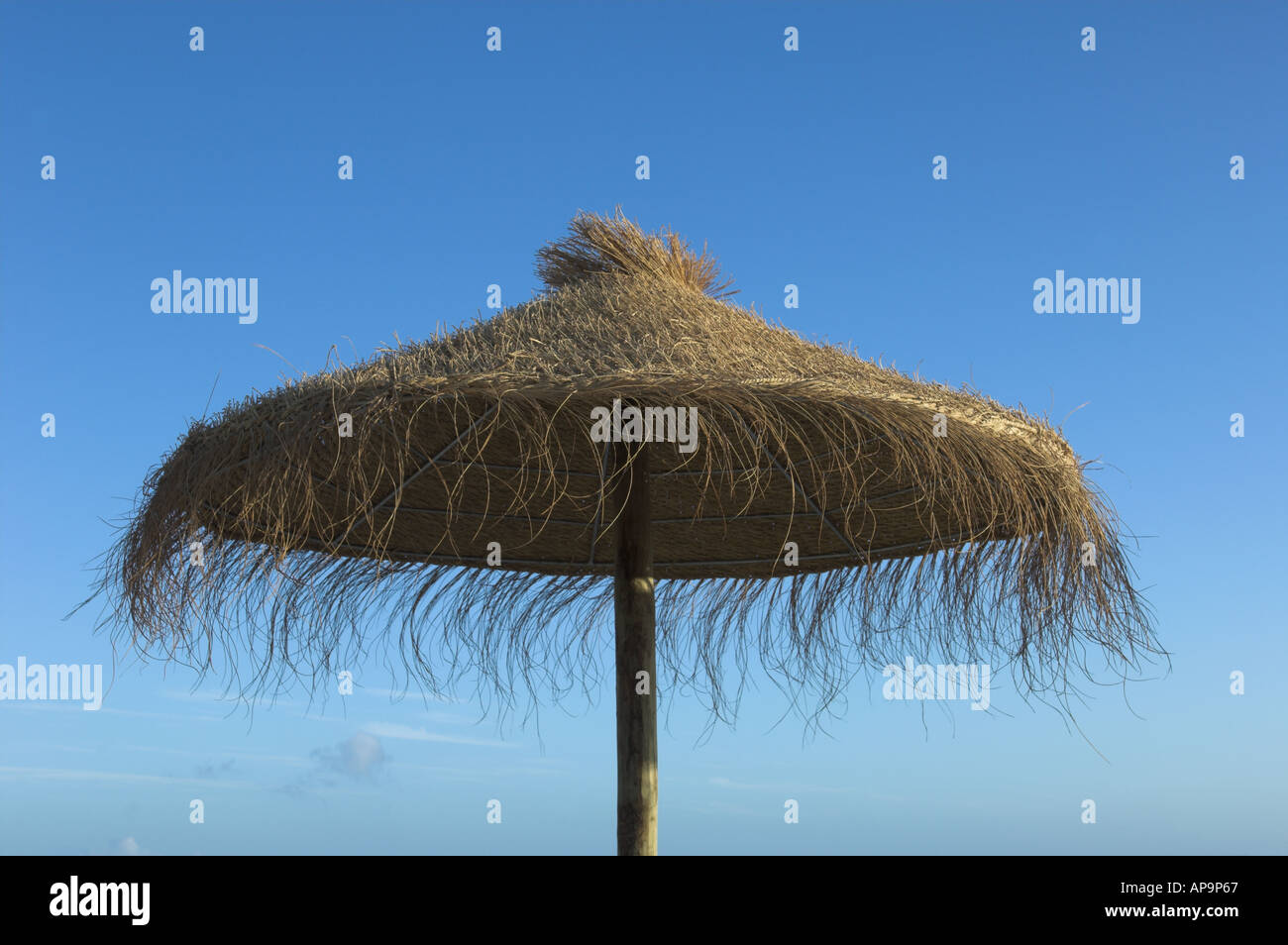 beach straw umbrella Stock Photo