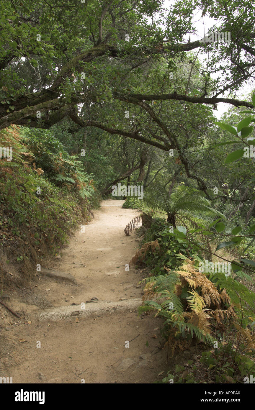 path in moserrate Palace gardens, Sintra, Portugal Stock Photo