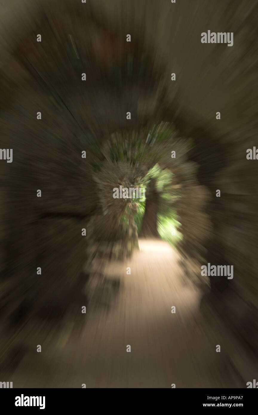 Blurred Stone path in moserrate Palace gardens, Sintra, Portugal Stock Photo
