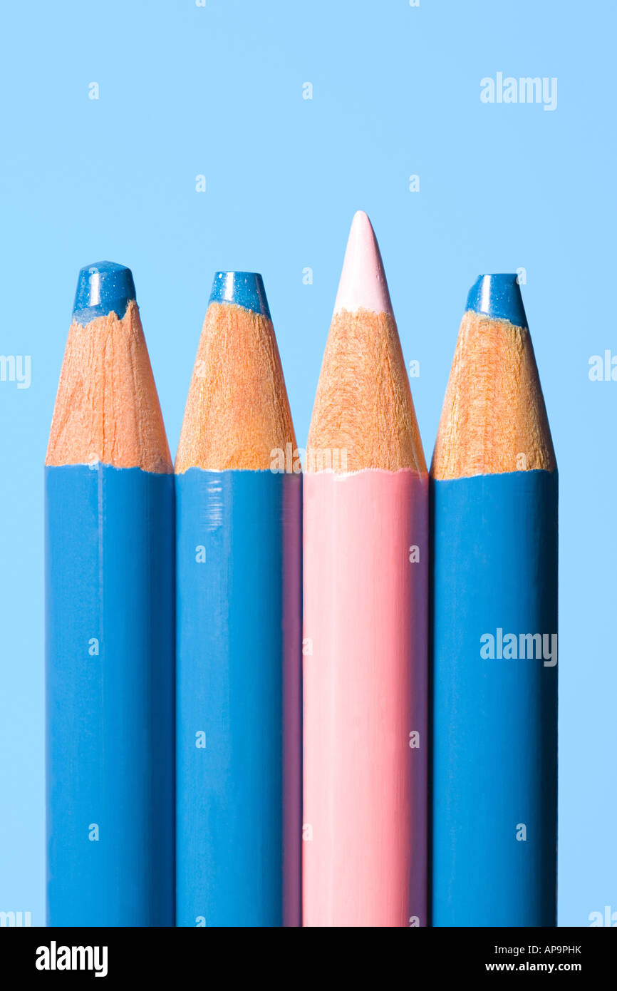 Pink pencil with blue pencils Stock Photo Alamy