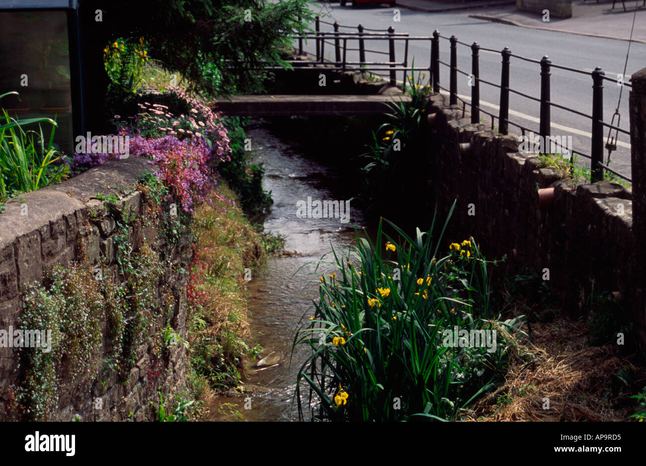 Stream at Larkhall, Bath, Somerset, UK Stock Photo Alamy