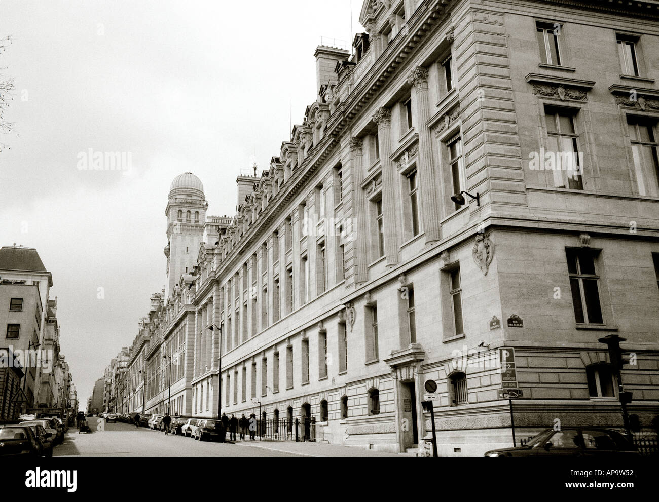 The Sorbonne University in the city of Paris In France In Europe Stock Photo