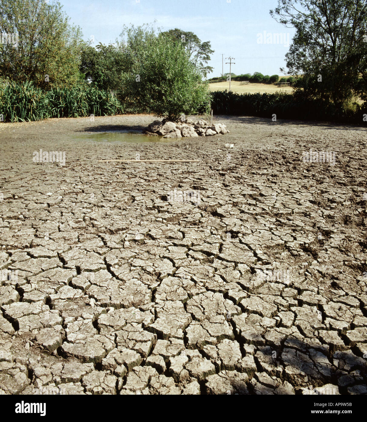 Dried up village pond after severe drought conditions during ...