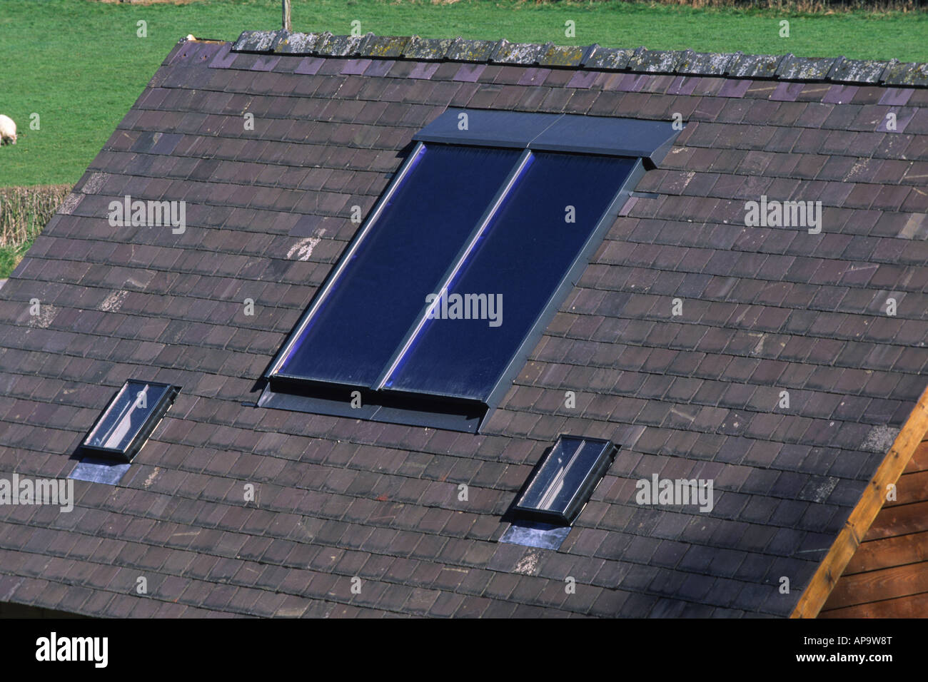 Solar water heating panels on a house roof. Powys, Wales, UK. Stock Photo