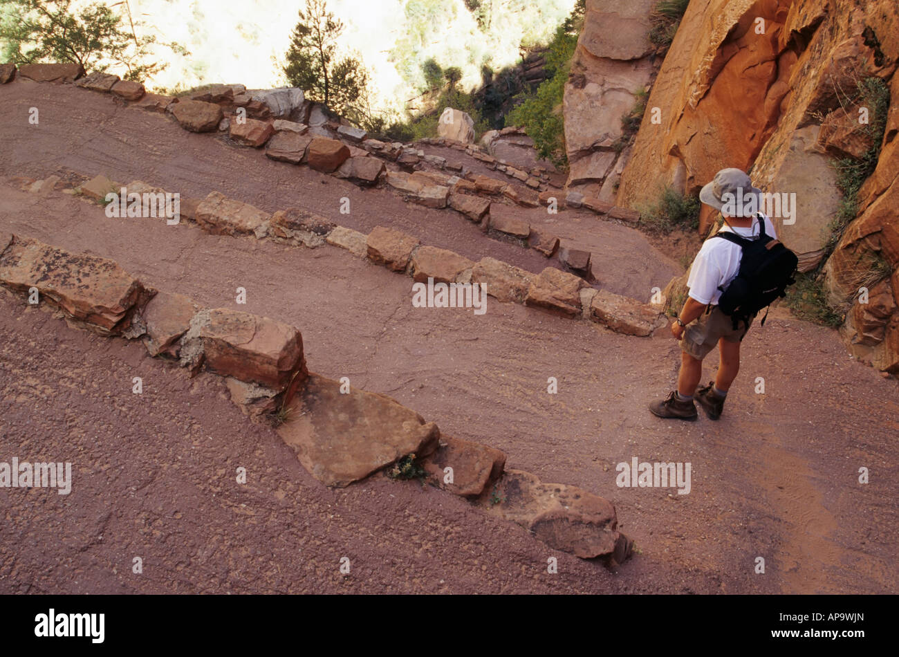 Hiker at Walter s Wiggles switchbacks near Scout Lookout Angels Landing Trail Zion National Park Utah USA Stock Photo