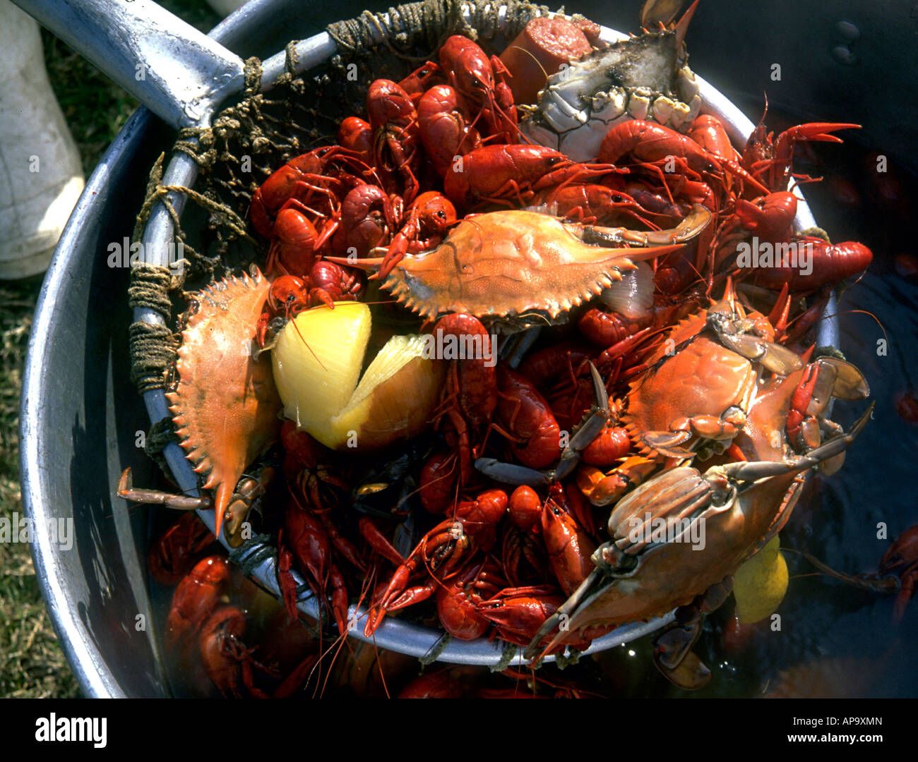 A Louisiana seafood boil of crabs and crawfish New Orleans Louisiana