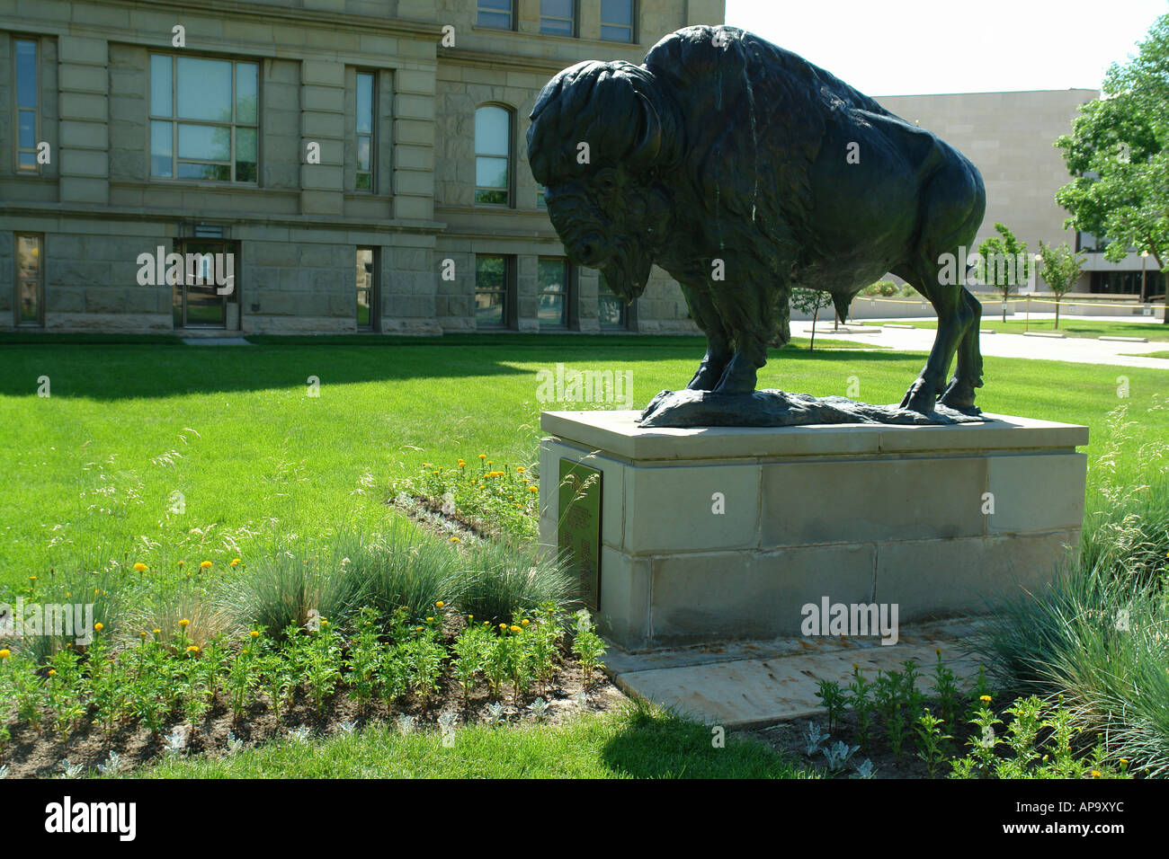AJD50277, Cheyenne, WY, Wyoming, State Capitol, bison statue Stock