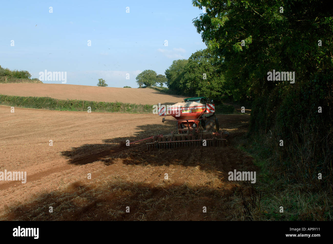 John Deere tractor Simba Horsch pneumatic drill in dappled shadows from the hedge trees Stock Photo