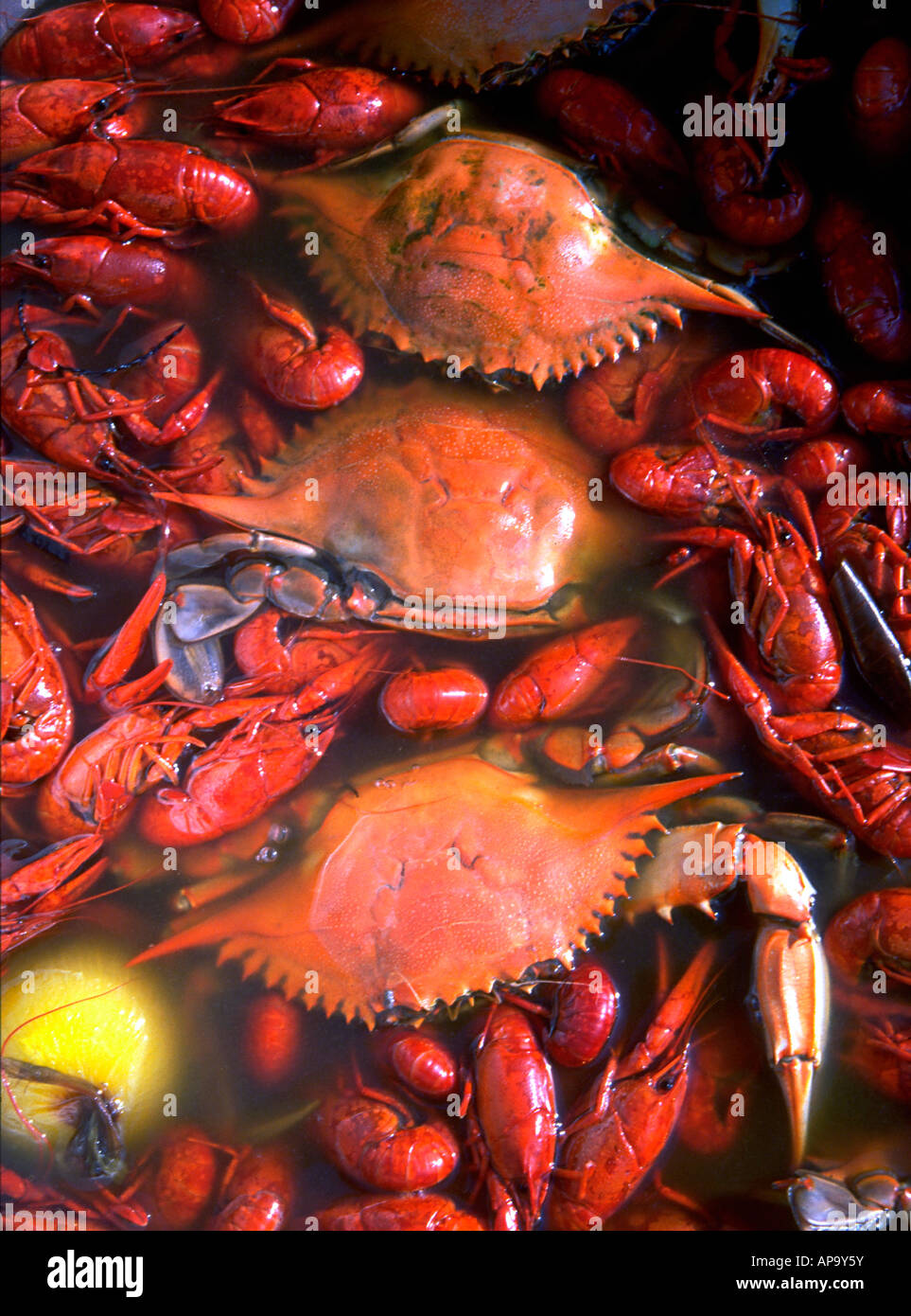 A Louisiana seafood boil of crabs and crawfish New Orleans Louisiana Stock Photo Alamy
