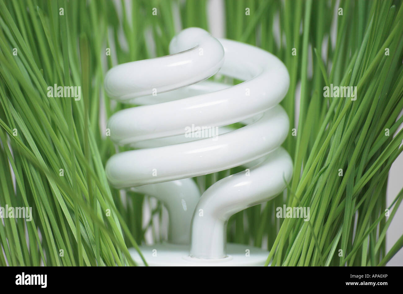 Energy efficient light bulb in green grass Stock Photo - Alamy