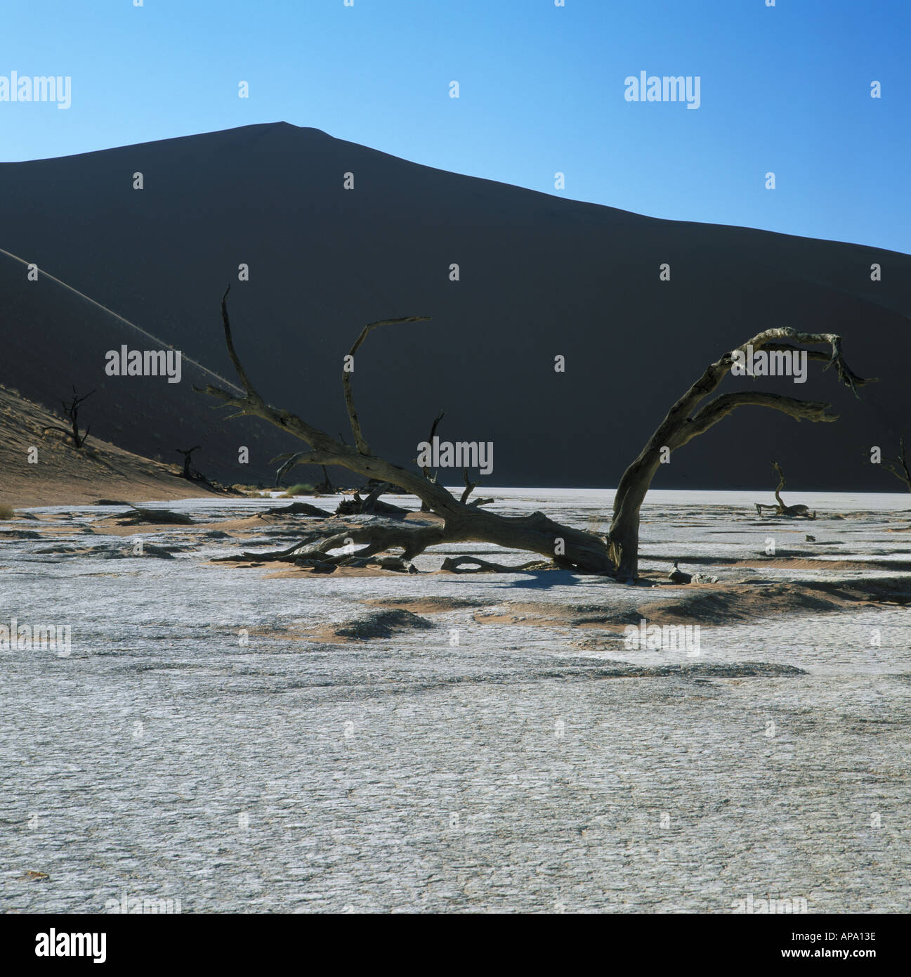 The Largest Sand Dune in the World at Sossusvlei Namibia Stock Photo